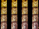 02_david_william_visits_vet